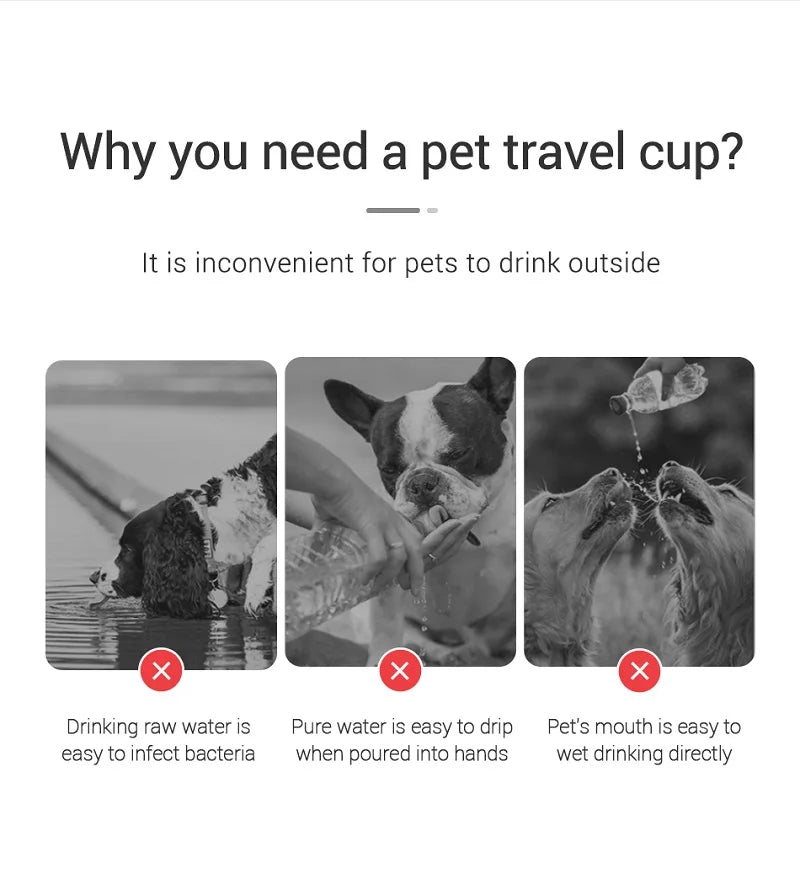 Portable Dog Water Bottle — Leakproof Outdoor Drinking Bottle for Dogs & Cats