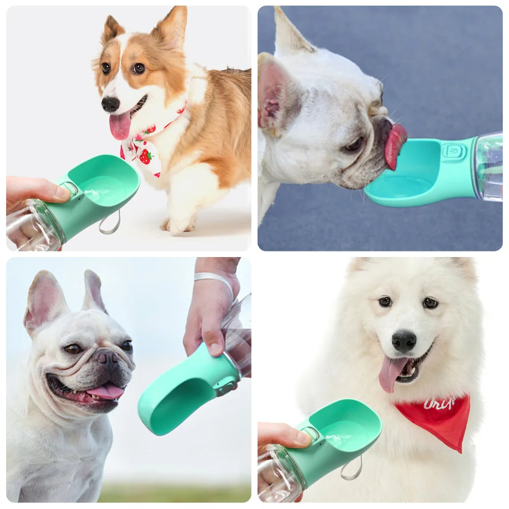 Portable Dog Water Bottle — Leakproof Outdoor Drinking Bottle for Dogs & Cats