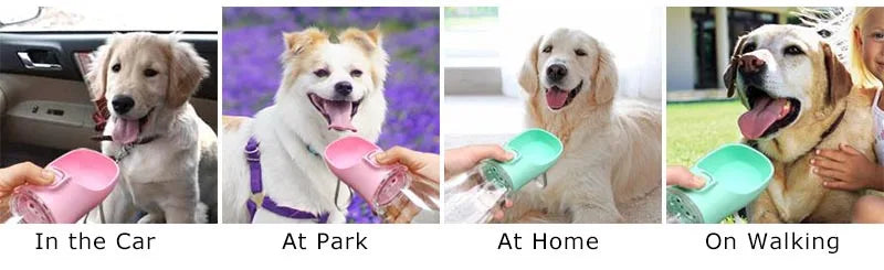 Portable Dog Water Bottle — Leakproof Outdoor Drinking Bottle for Dogs & Cats